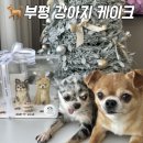 주부토로56번길 | 부평 강아지 케이크 수제간식 맛집 인천 애견동반 카페 오브몽