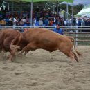 화산주유소 이미지