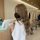 메르시(merci beauty)