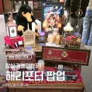 [잠실가볼만한곳] 해리포터 덕후들 주목! 잠실 롯데월드몰 '마호도코로 팝업' 방문 후기