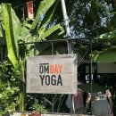 요가(심화) | 호이안 여행/ 호이안 요가클래스] 호이안 옴요가 OM ĐÂY Yoga Hoi An 요가 클래스 오전 체험 후기/ 추천