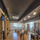 필라펠리스 이미지