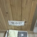 한실농박