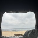 GS25 고성 유진점 이미지