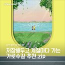 가보고싶은집