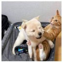 수진 공원 이미지