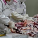 홍성한우 이미지