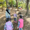 운암지 유아숲체험원 이미지