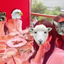 골든몽키펜션 이미지