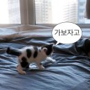 우진사 이미지