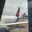 제이드7 | 홍콩공항 출국장 식당 자딘드제이드│미슐랭 디섬 맛집 후기