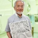 건강해봄 이미지