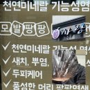 큐사랑(성덕점)