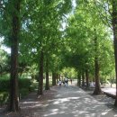 경상남도산림환경연구원 이미지