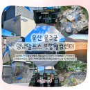영남알프스 복합웰컴센터 국제클라이밍장 | 울산 울주군 영남알프스복합웰컴센터 완전정복｜울산 나들이 추천코스, 아이랑 함께 즐기기 좋은 곳