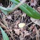 다대포항역 이미지