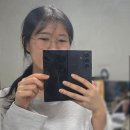 안경인생 티스토리
