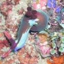 바다랜드 이미지