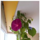 노루목작은도서관 이미지