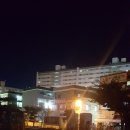 삼일키즈태권도 이미지