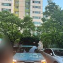 비비카라산업 | 2025 기아 자동차 셀토스 출고 후기