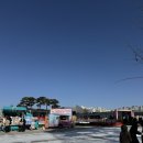 천안시청 | 천안시청 스케이트장 이용후기 및 참고할 점