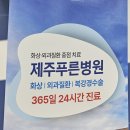 제주푸른병원 이미지