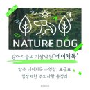 슬로독 | 양주 애견운동장 추천｜4천평 천연잔디 네이처독 수영장·요금 총정리