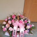 리즈앤마리안산부인과의원 이미지