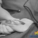 Dr.DOG 동물의료센터 이미지