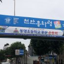 동명교 Daum카페