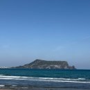 제주고가네 | [제주맛집] 성산일출봉 근처 고가네식당 솔직후기