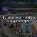 성산구 ⓒ-29 | 2023-2024 KBL 프로 농구 직관 후기, 대구 한국가스공사 페가수스 vs 창원 LG 세이커스 &#39;창원체육관&#39;