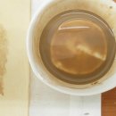 나무 밑 고양이 이미지