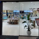 글라스타 감일점 이미지