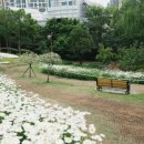 공원로-1 이미지