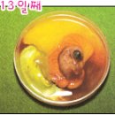새실산업 Daum카페