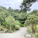 소나무카페(소나무관광농원) 이미지