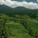 홍대예술의거리 이미지