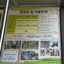 거제도 가볼만한곳, 푸른 대나무숲의 거제 맹종죽테마파크 후기 담양 죽녹원과의 비교