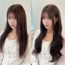 붙이다니 - 성동구 | 홍대붙임머리 , 합정붙임머리 추천 '홍대 붙이다니 붙임머리' 후기 !