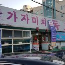 독도참가자미 이미지