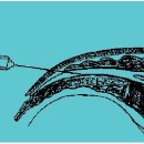 삼성곽재활의학과의원 이미지