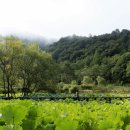 수타사로 이미지