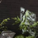 자연을담은 밥상 | 🌿 포천 교육문화복합공간 두런두런, 자연을 담은 실내 조경 시공 후기 ✨ ㅣ 그린앙쥬