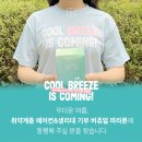 드림코리아 뉴스1