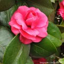 군북면사무소 이미지