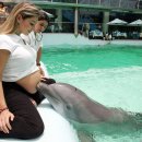 묘한 세계 이미지