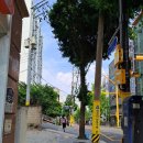 글라스 뷰 안경 이미지