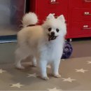 쁘니살롱